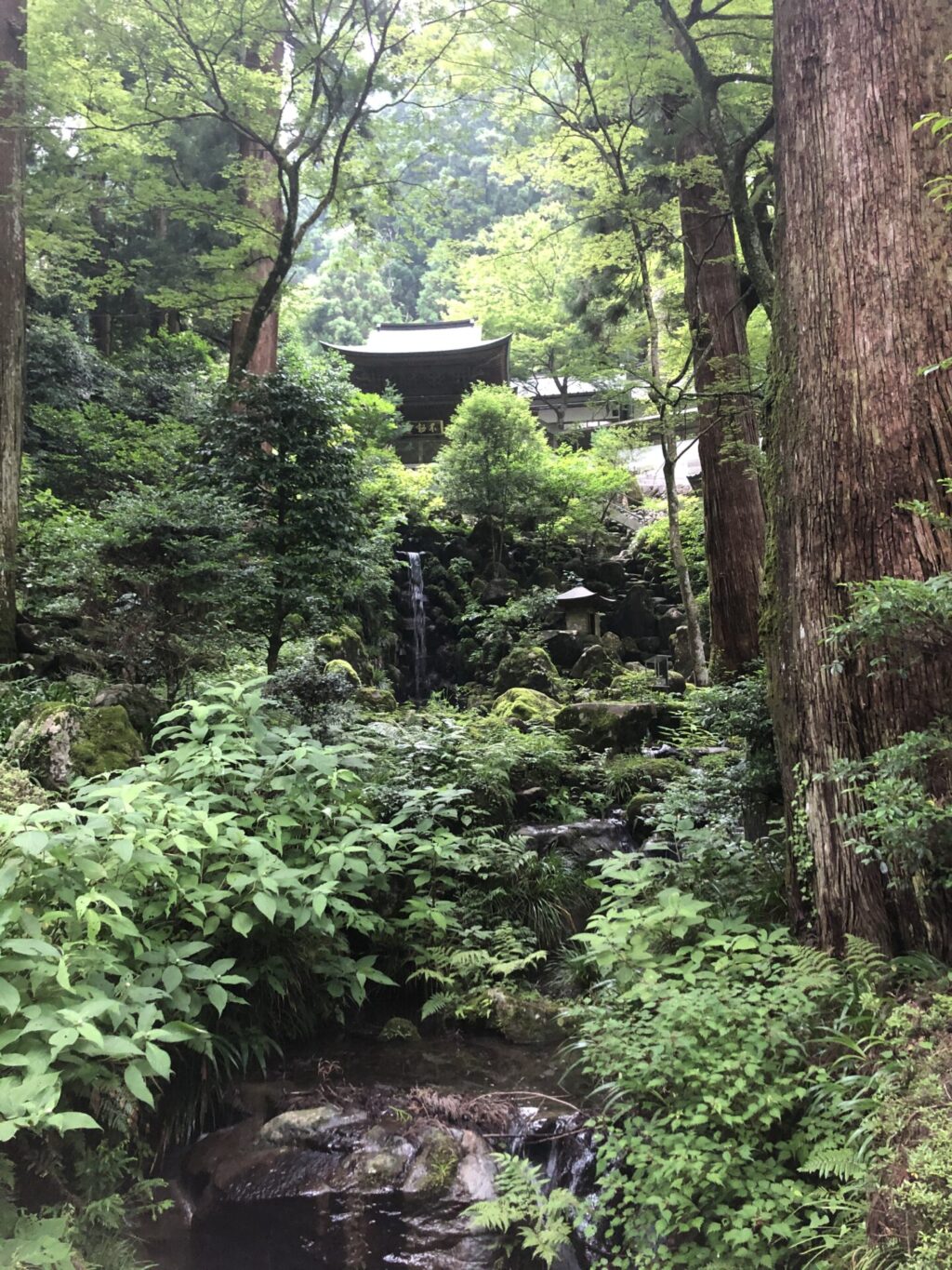 大雄山最乗寺2