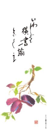 短冊花ごよみ/9月10月