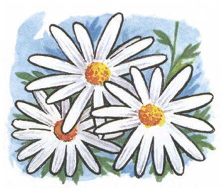日本の風土記-6