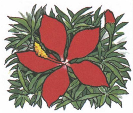 日本の風土記-7