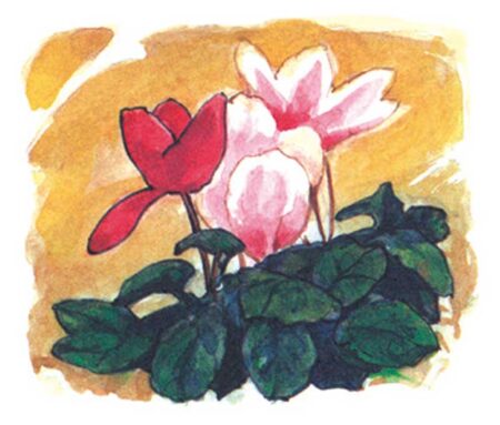 日本の風土記/2月