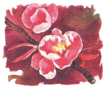 日本の風土記/4月