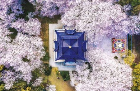 ドローンから見た風景-4