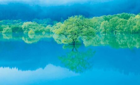 フォーエバー・ジャパン/3月