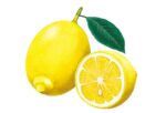 MM-229