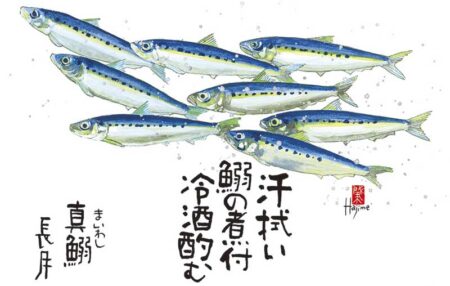 魚彩時記〜岡本肇作品集〜-9