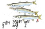 NK-107
