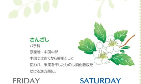 花日記（フラワーダイアリー）/拡大