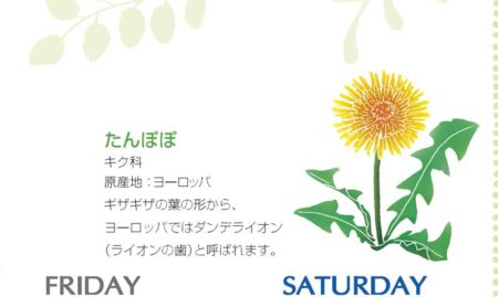 花日記（フラワーダイアリー）-5