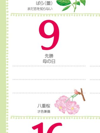 花日記(フラワーダイアリー)/拡大