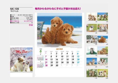 マイペット-13