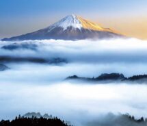 四季の朝