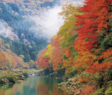 四季の朝-5