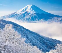 四季の朝