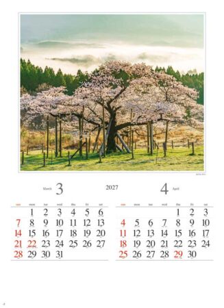 四季の朝/3月4月