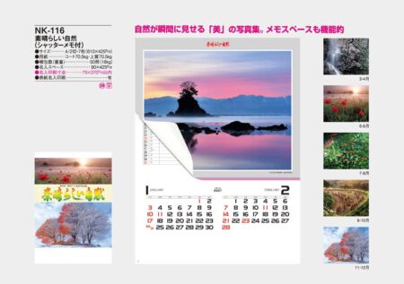 素晴しい自然(シャッターメモ付)/カタログ