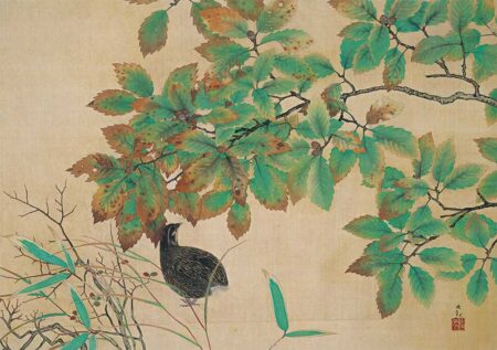 横山大観作品集/11月12月