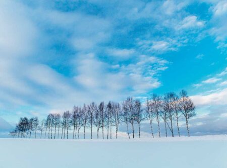 ＳＯＲＡ−空ー/2月