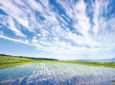 ＳＯＲＡ−空ー/5月