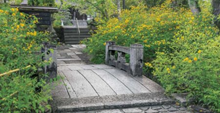庭の四季-3