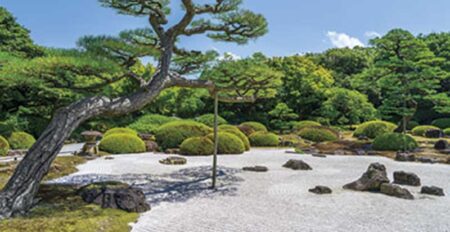 庭の四季-9