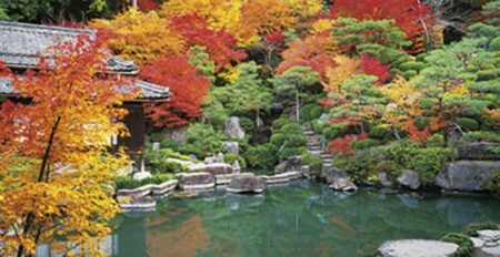 庭の四季-11