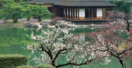 庭の四季/1月