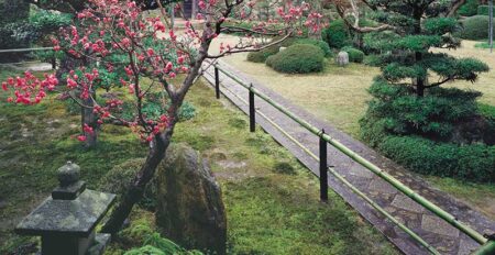 庭の四季/2月