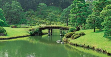 庭の四季/5月