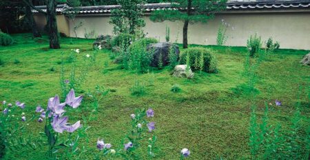 庭の四季/7月