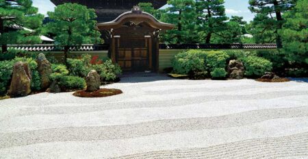 庭の四季/8月