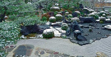 庭の四季/12月