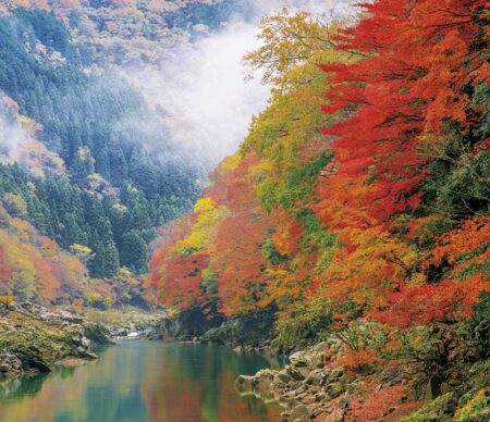 日本の朝-11