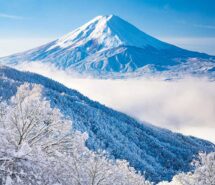 日本の朝