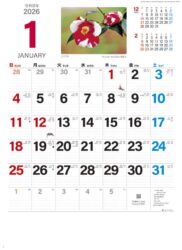 花ことばと文字
