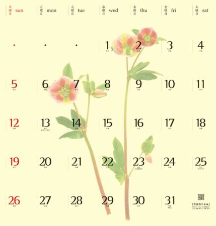 プレス・フラワー/12月