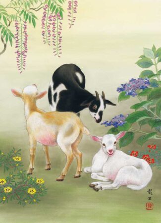未六題/5月6月