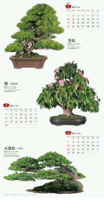 盆栽/1月2月