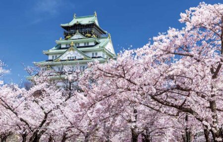 日本の四季-2
