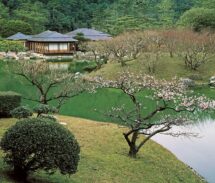 四季の庭