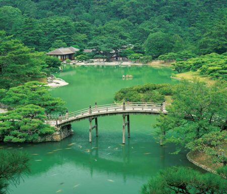 四季の庭/7月8月