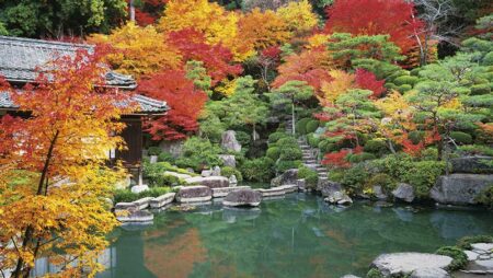 日本の庭-5