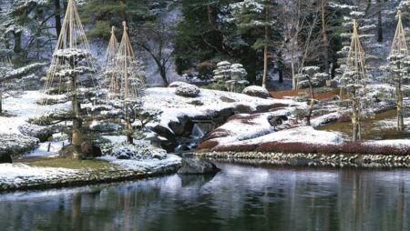 日本の庭-6
