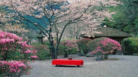 日本の庭/3月4月