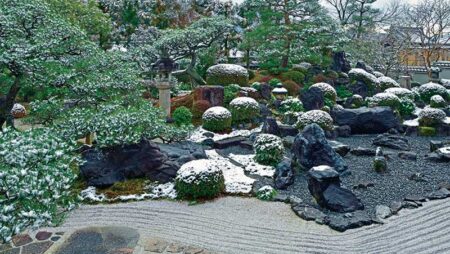 日本の庭/11月12月