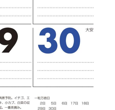 マンスリープラン（6週表示・年間カレンダー付）-2