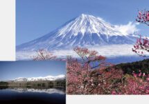 富士六景　日本の至宝