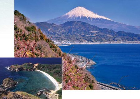 富士六景　日本の至宝/1月2月