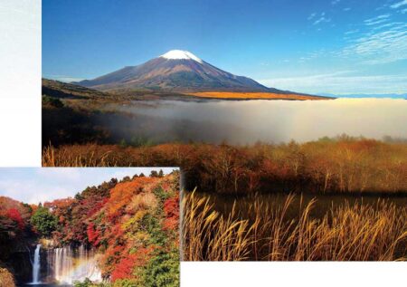 富士六景　日本の至宝/11月12月