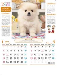 フレンドリードックス
